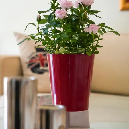 Apartment The Lucky Nafplio
