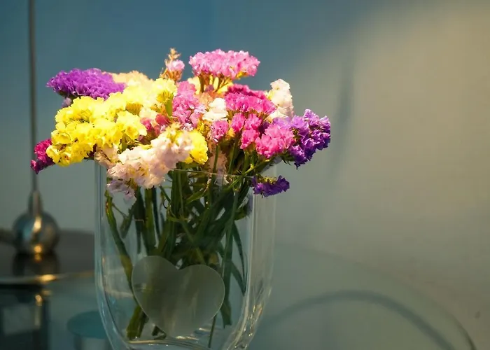 The Lucky Нафплион